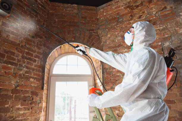 Best Asbestos and Lead Testing During Mold Inspection  in Richardson, TX